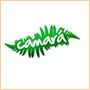 Bar Camar�