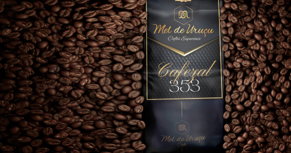 Mel de Uruçu Cafés Especiais