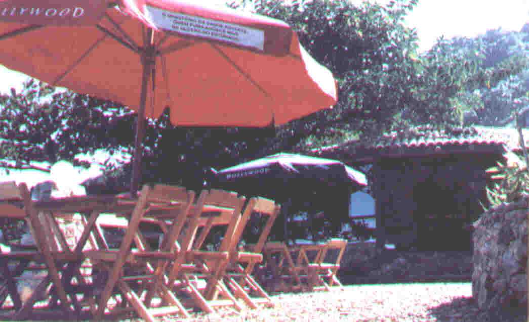 Punta Roccas Bar