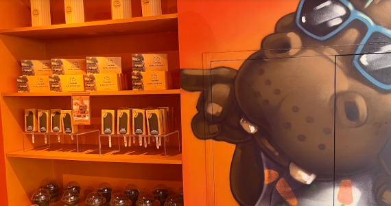 Cenoradas - Pinheiros