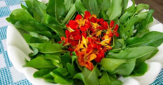 Restaurante Dona Dita