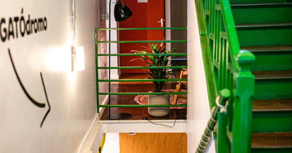 Gato Pingado – Jardim Paulista