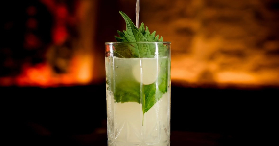 Omakase Nihon Omakase Nihon