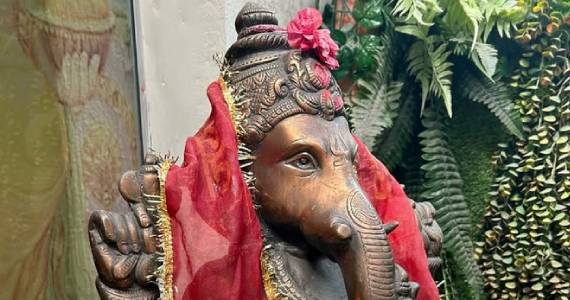 Reet Namaste - Paulista Reet Namaste - Paulista