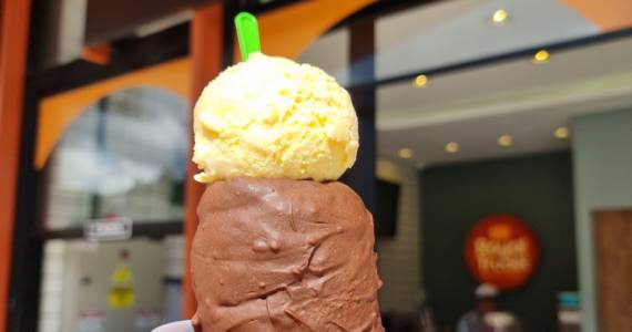 Royal Turdel - Campos do Jordão