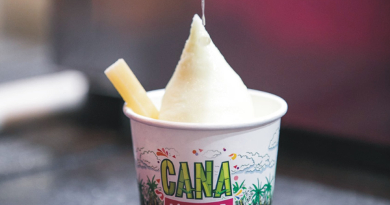 Cana Mania Natural