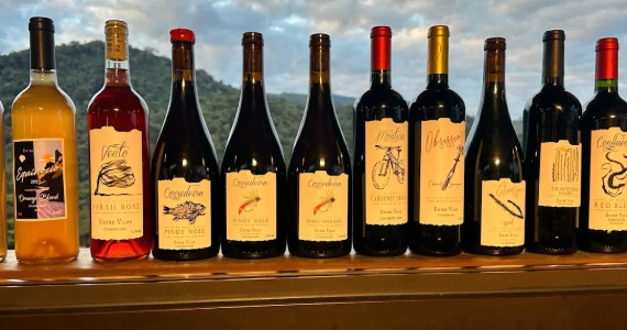 Restaurante Entre Vilas