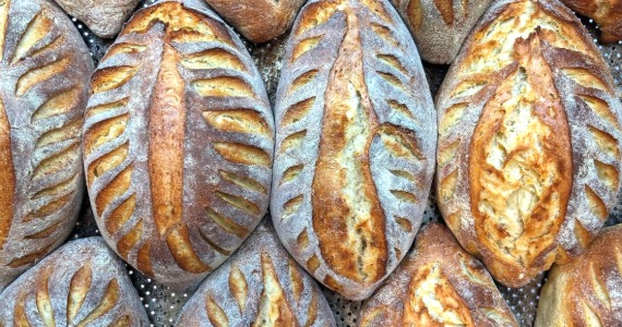 Na Fila do Pão Na Fila do Pão