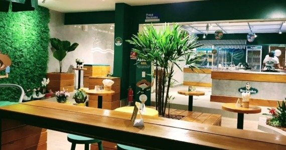 Rochinha Sorvetes - Santana