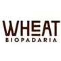 Biopadaria Wheat Guia BaresSP