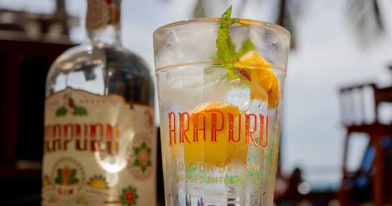 Arapuru Lança Desafio para Criação de Drinks com Gin