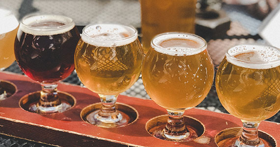 Curso de Degustação de Cerveja Artesanal