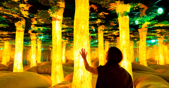 Dopamine Land chega a São Paulo com experiência multissensorial no Shopping Eldorado