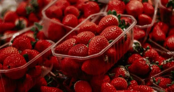 Festival do Morango tem entrada gratuita em São Bernardo do Campo