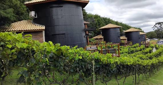 Quinta do Olivardo une gastronomia e fado ao vivo em São Roque