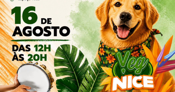 Feira Vegana Brasilidades reúne gastronomia, música e cultura na Liberdade