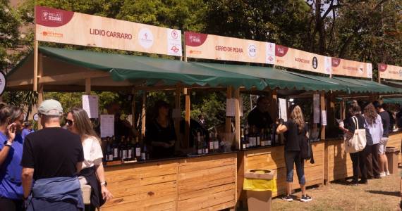 Wine & Jazz Sessions: Evento une música e vinhos ao ar livre no Parque Villa-Lobos