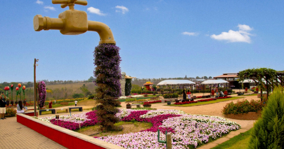 Expoflora 2026: confira atrações da Festa das Flores em Holambra