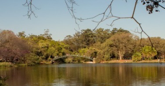 Grupo os Aruandas no Parque do Ibirapuera