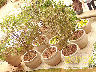 Festa de abertura do Festa de abertura do