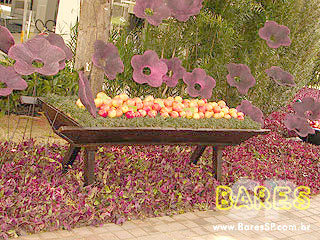 Festa de abertura do Festa de abertura do